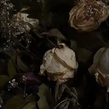 22_g의 感染した婚約者
