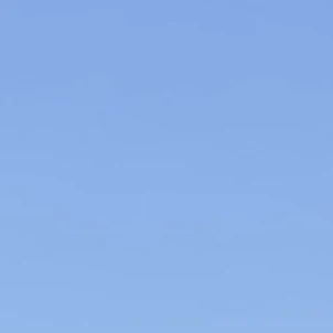 데이지