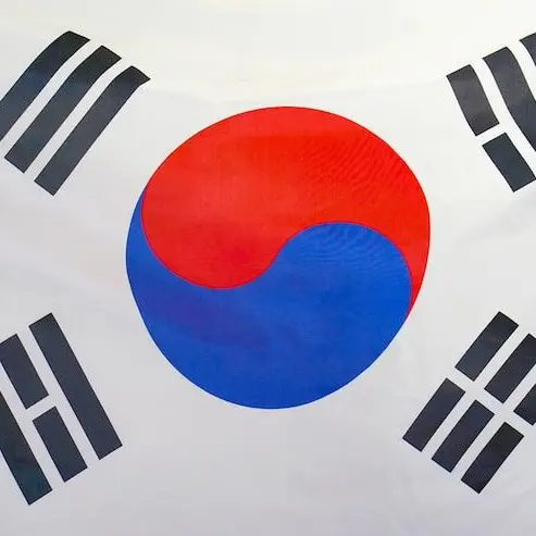 123680의 U-17 월드컵