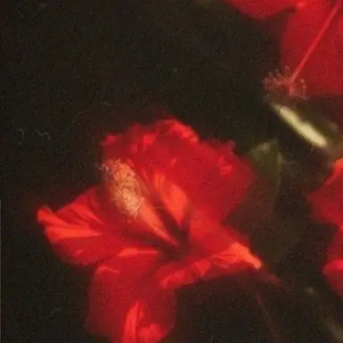 Profile image of 서라더