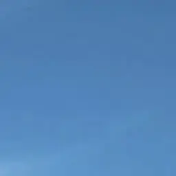 Profile image of 樹