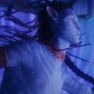 Profile image of 네테이얌