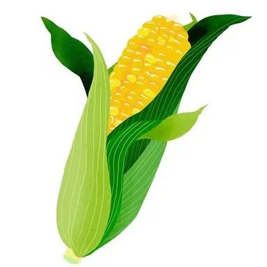 Profile image of ユニコン副部長