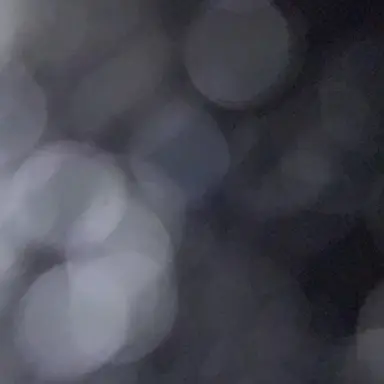 Profile image of 박지훈