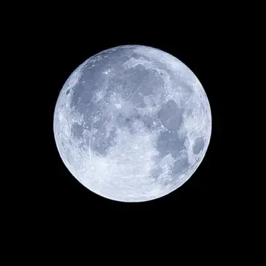 Profile image of パクノダ