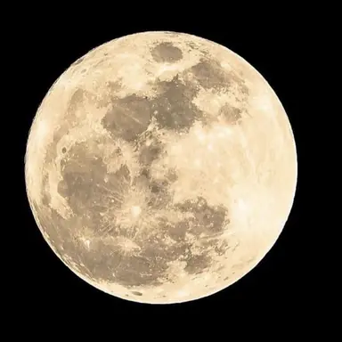 Profile image of シャルナーク