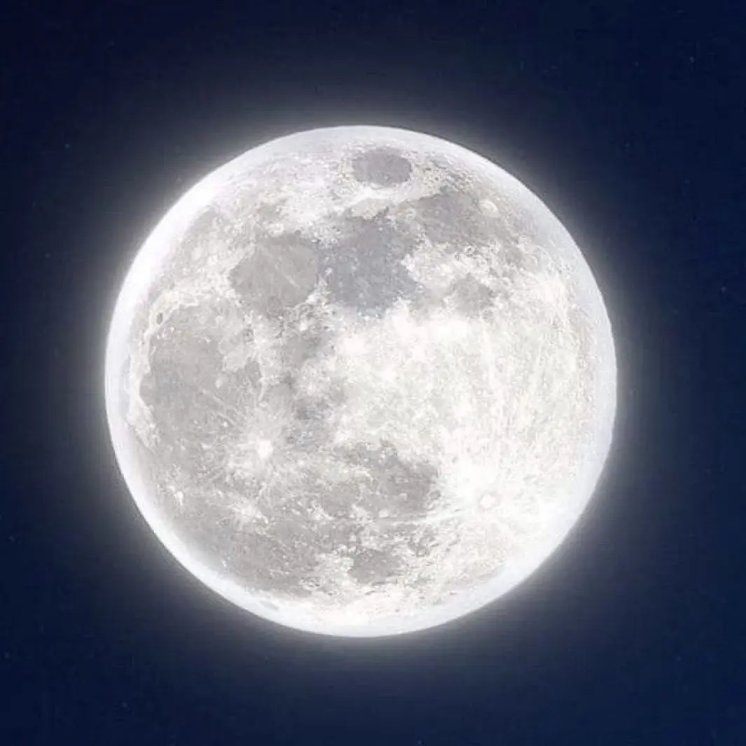 DarkDog5877의 日常