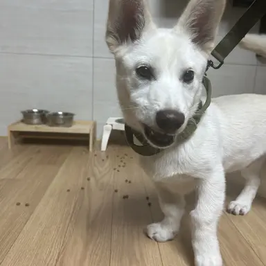 Profile image of 동경ㅅ휴