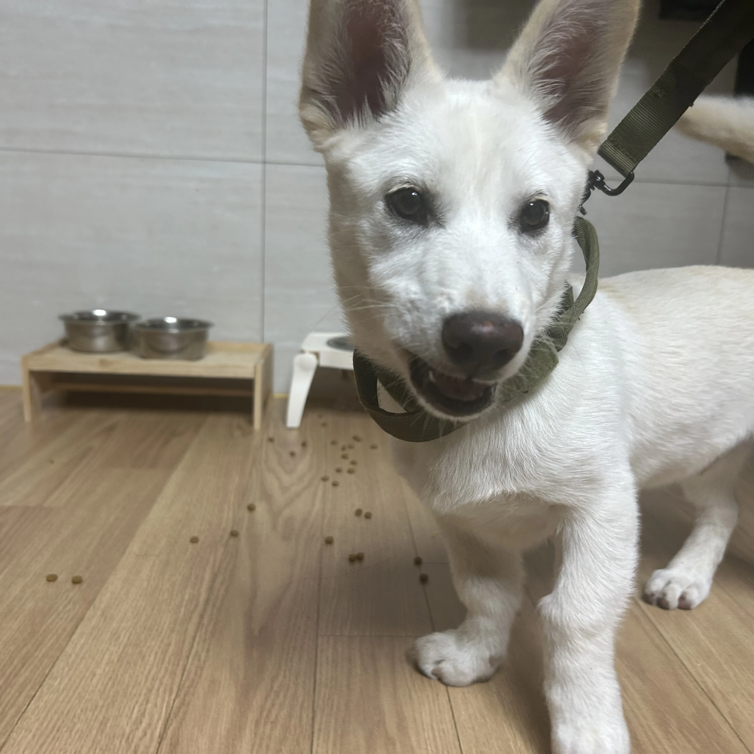 동경ㅅ휴