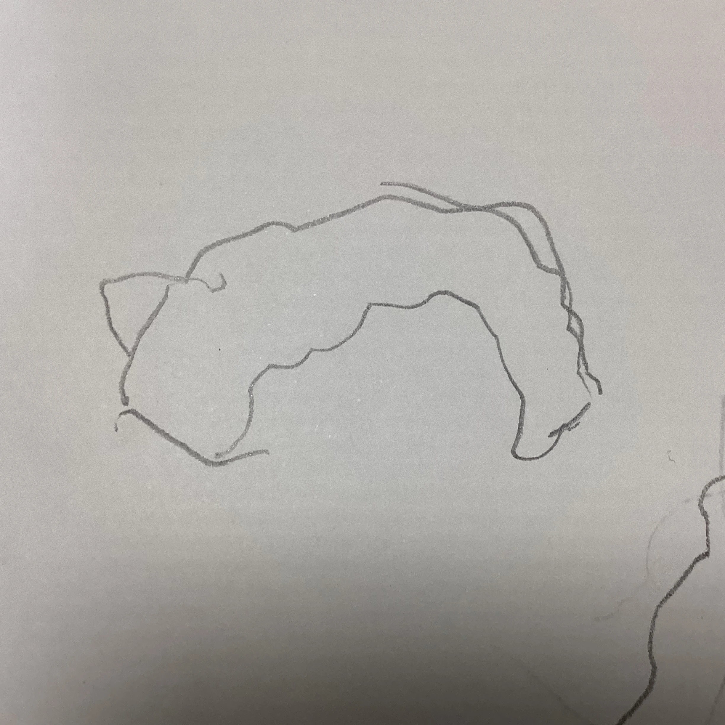 高知
