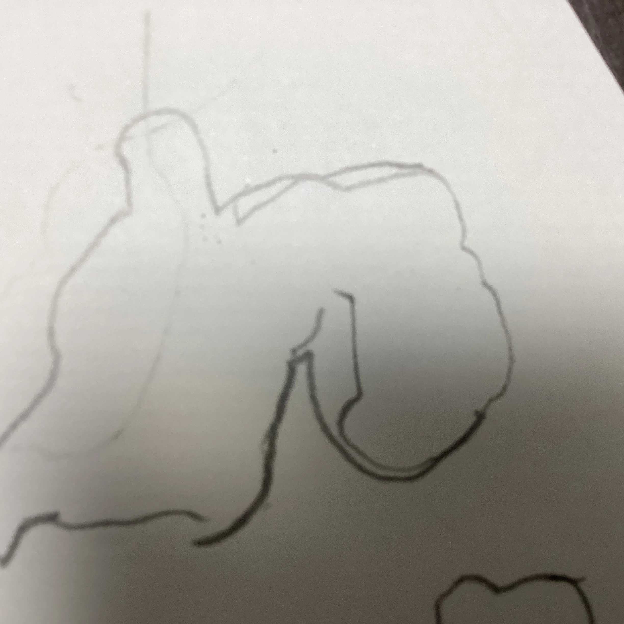 静岡