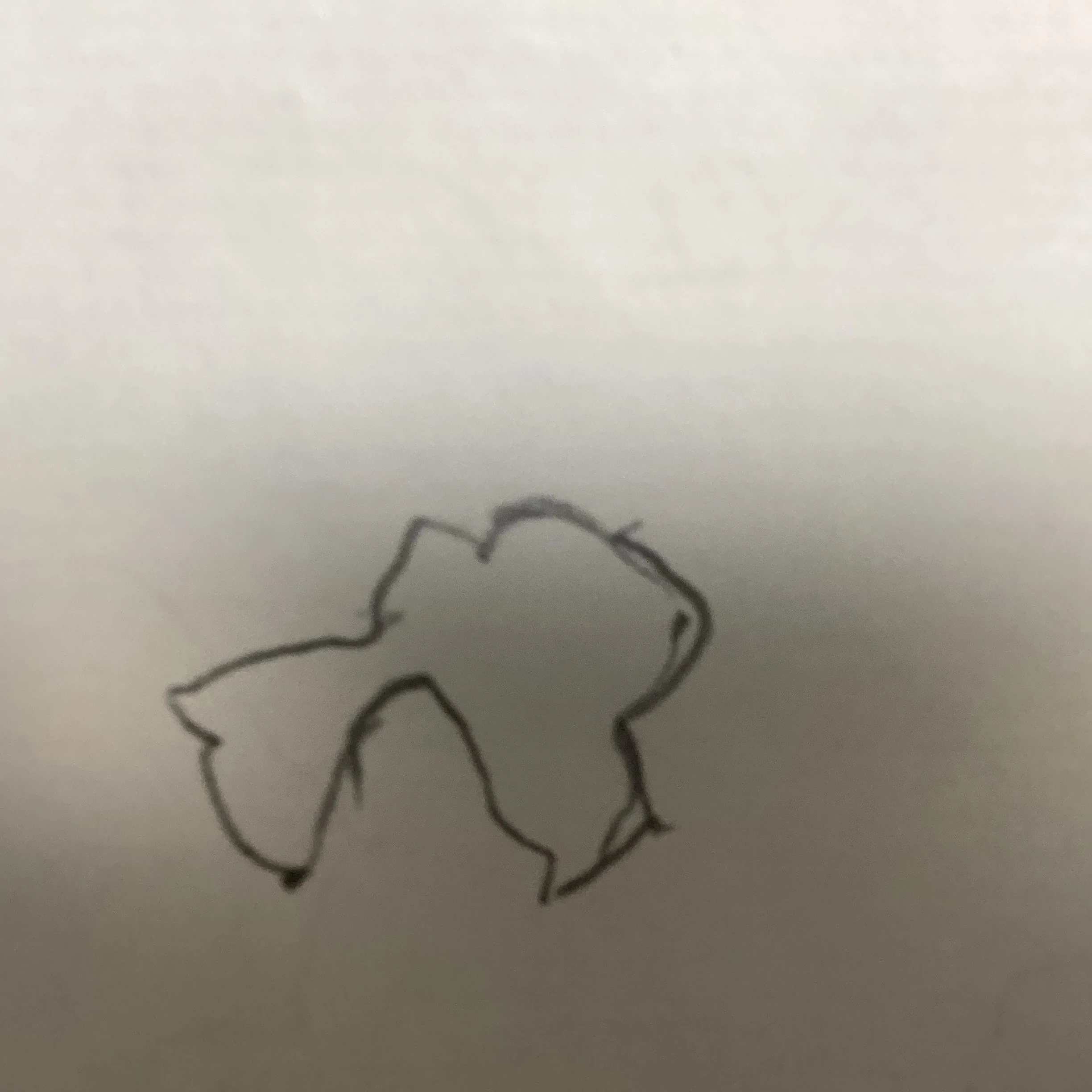神奈川