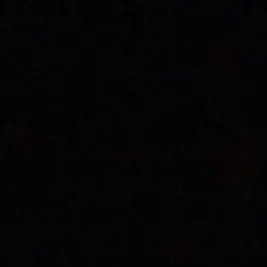 Profile image of HS