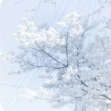 Profile image of 곰숭