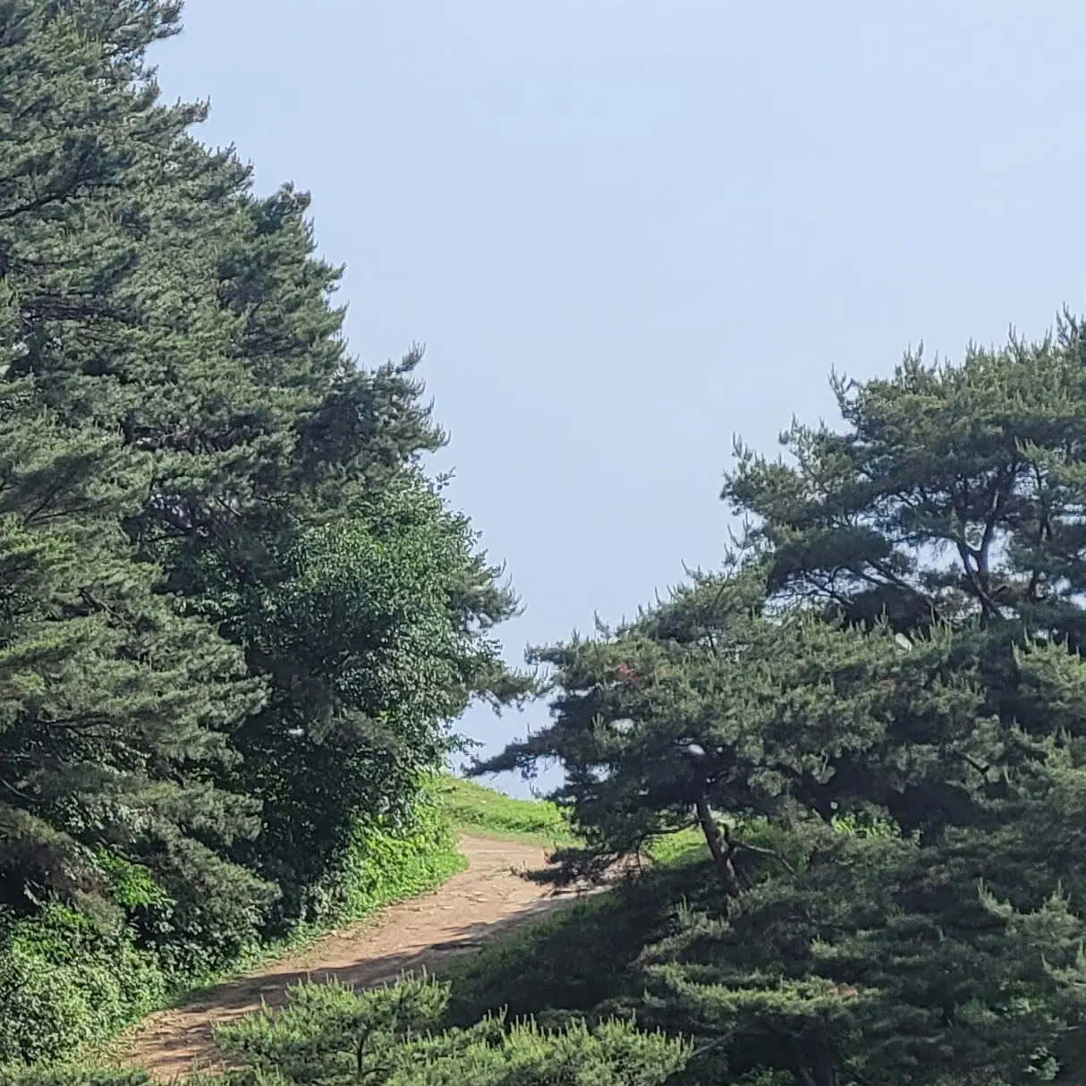 of_course0604의 崩壞