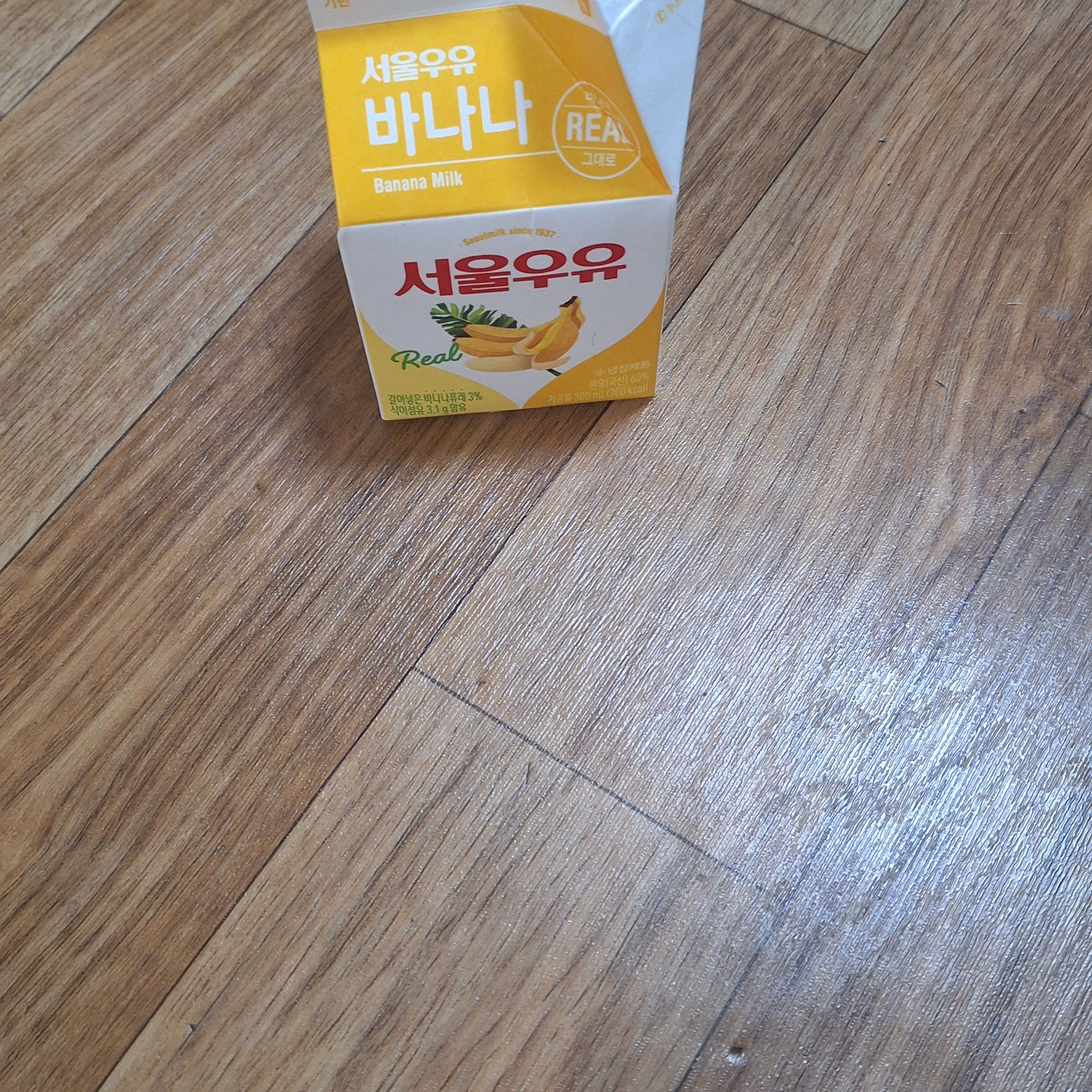 일산양일 중학교 대표 이미지