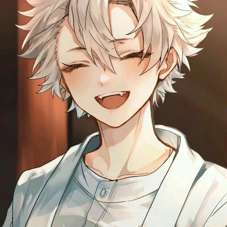 시나즈가와 사네미