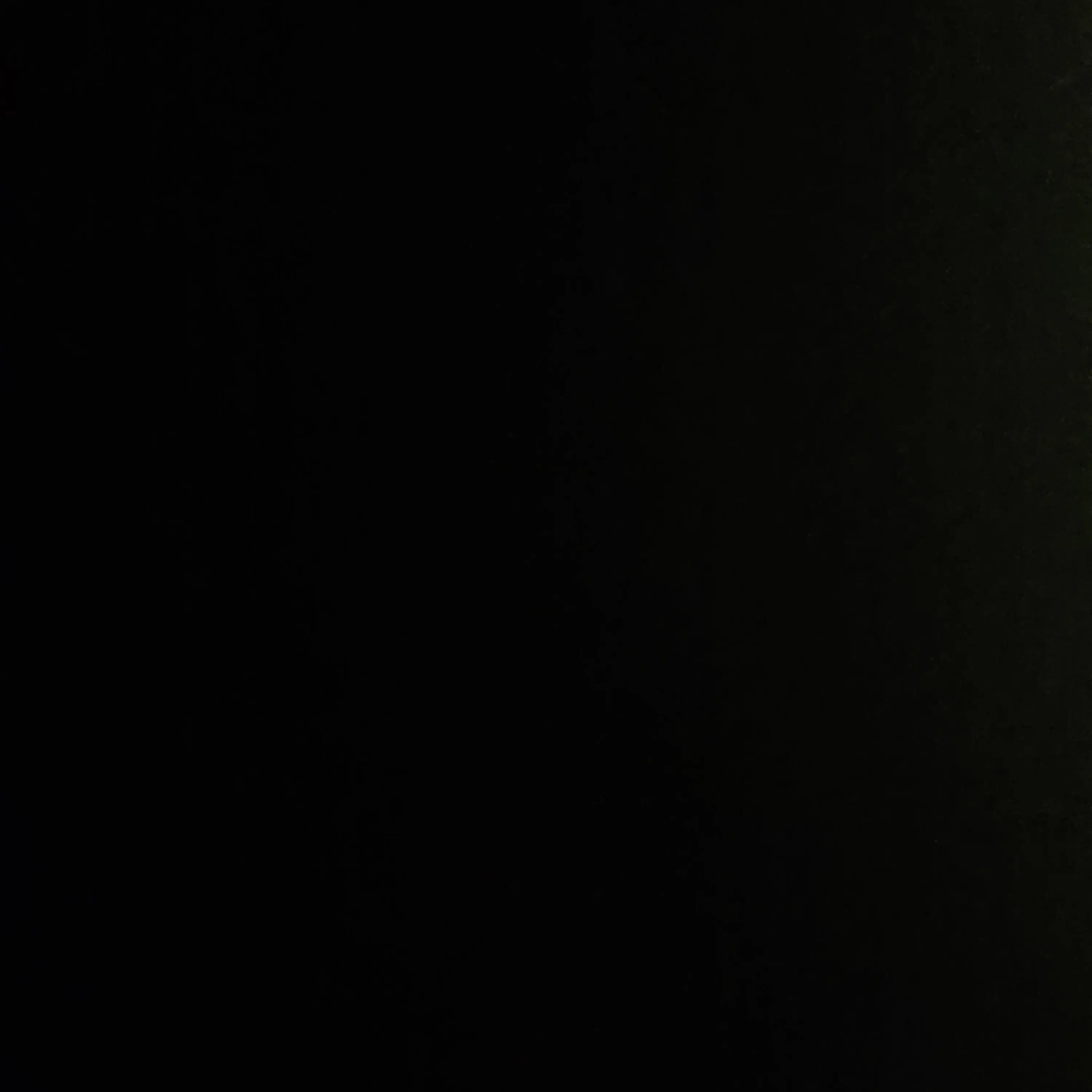 PurelyTail17316의 길냥이