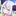 ラプ様のマネージャーになった！？
