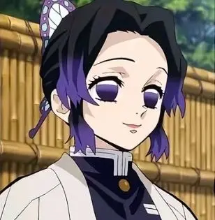Profile image of 胡蝶 しのぶ