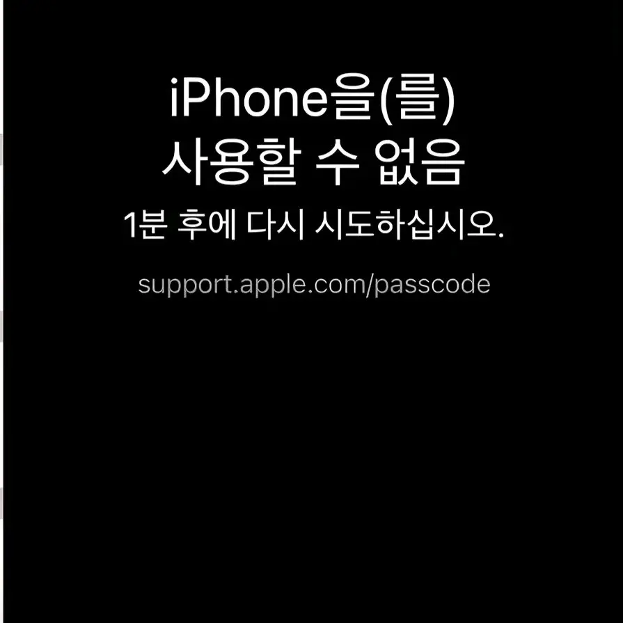qng의 뭐하지