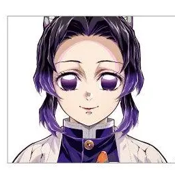 Profile image of Shinobu Kocho