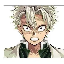 Profile image of Sanemi Shinazugawa