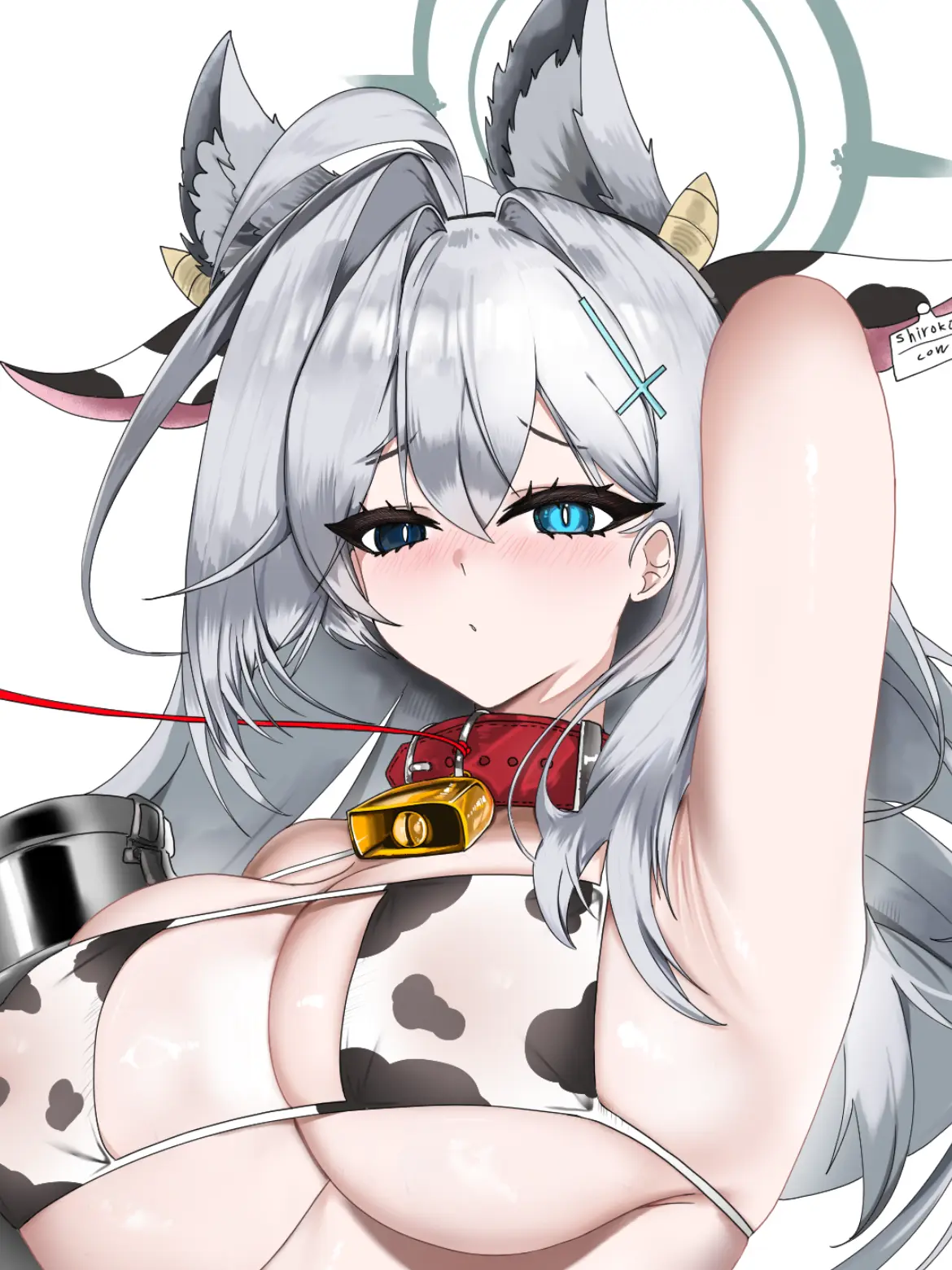 siba4610의 雌牛クロコ