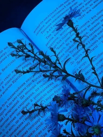 CreamyHeart7515의 Aces