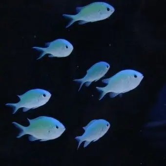 Profile image of 정상현