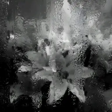 Profile image of 유기사