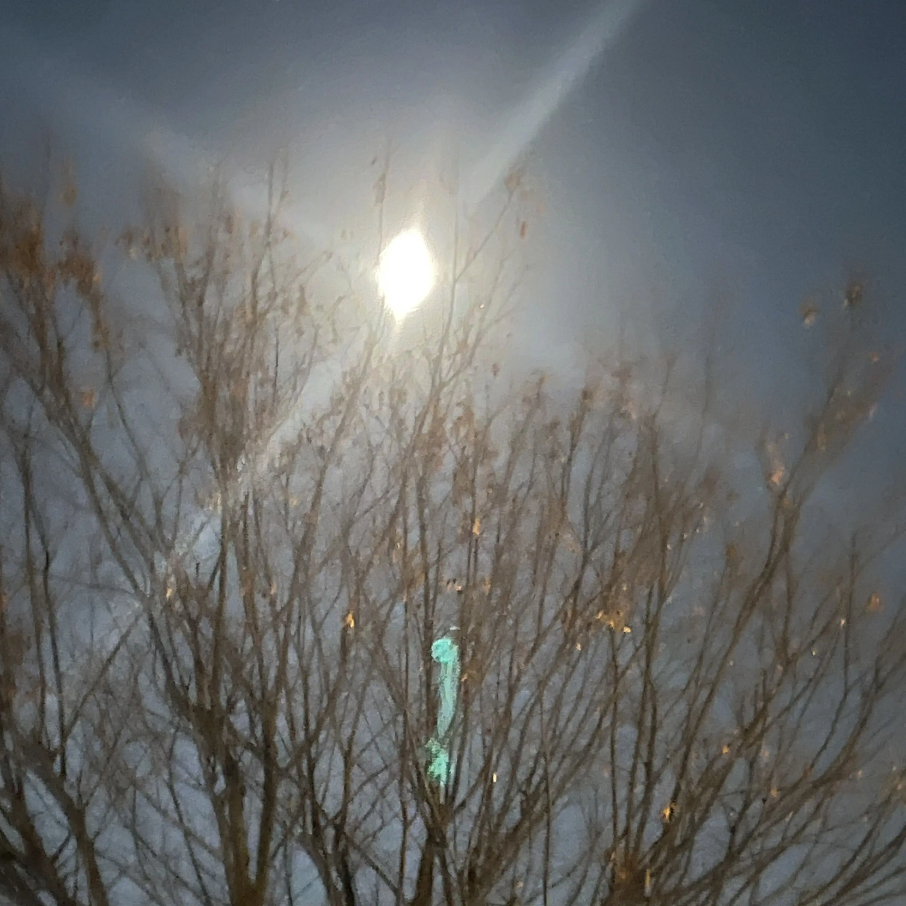 ChunkyMole1069의 스키즈(양른버전)