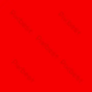 Profile image of 손채영