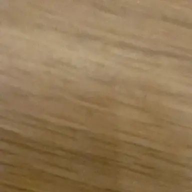 Profile image of シオン