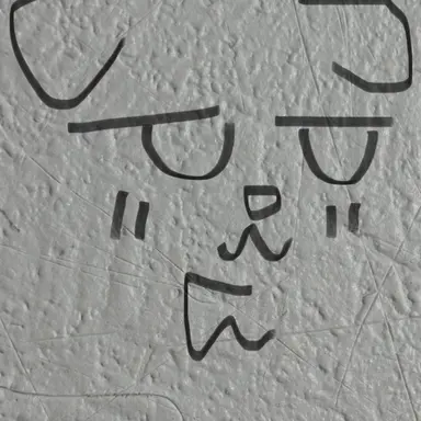 Profile image of わんこ