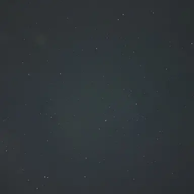 Profile image of ポチ