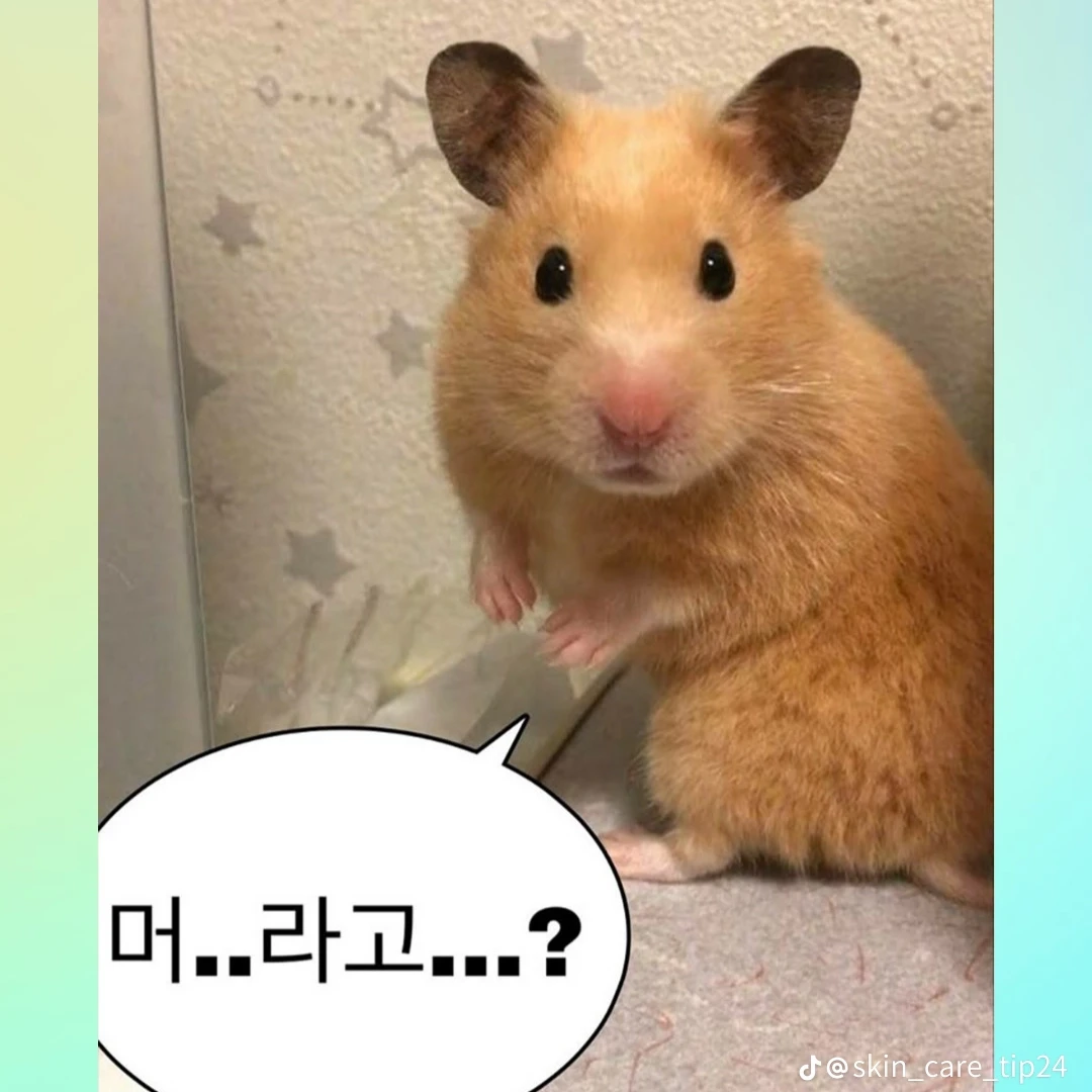 배건우
