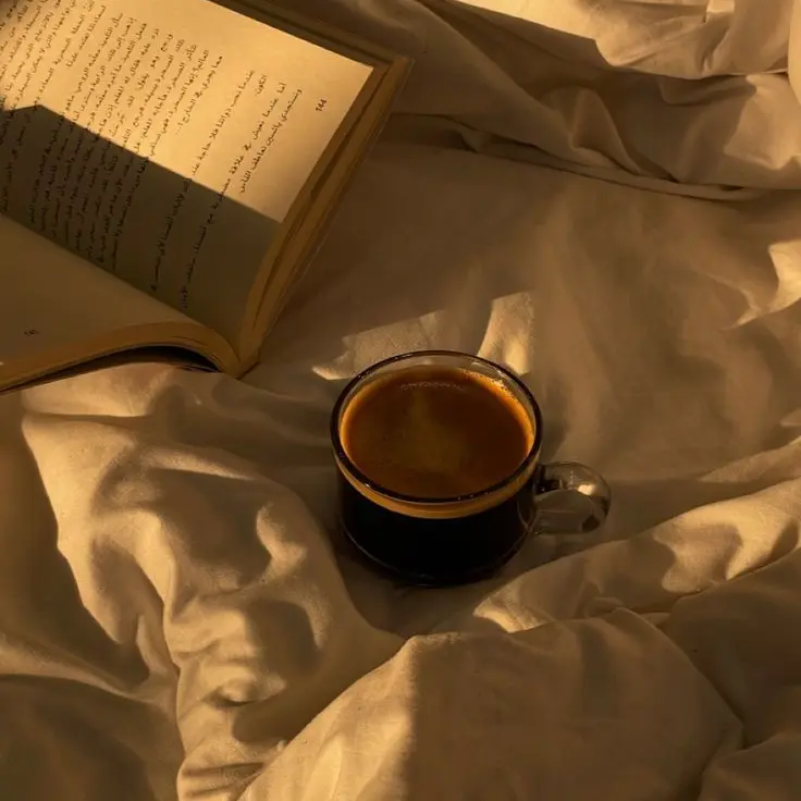 Jay-walking의 𝓬𝓪𝓯𝓮𝓶𝓸𝓬𝓱𝓪