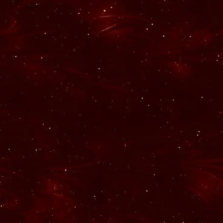 HungryTabla3314의 ライブ後