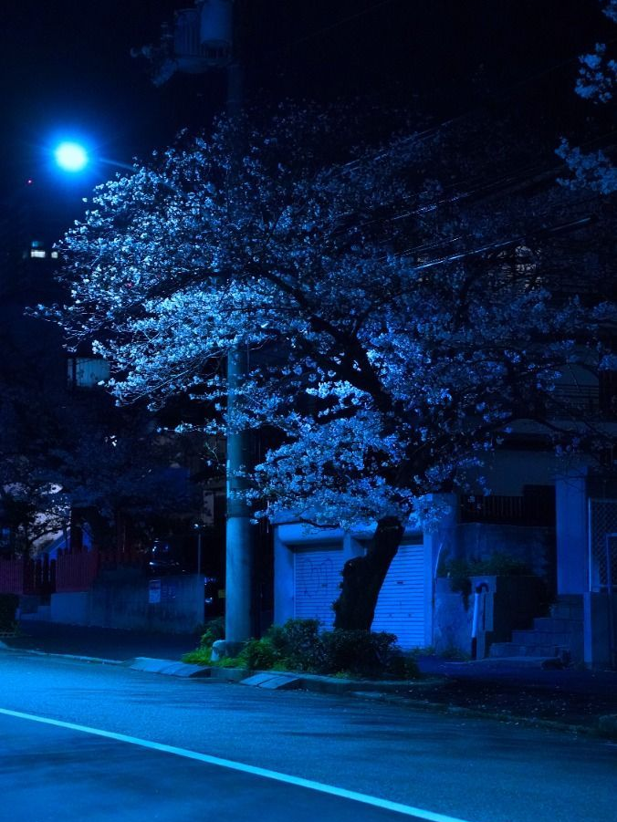 덕경위님의 집에 찾아가보면— 대표 이미지