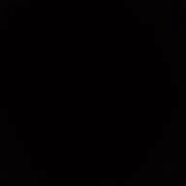 Profile image of 백유안