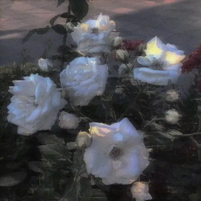 vousmevoyez.의 김민정