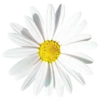 Profile image of エルンティ