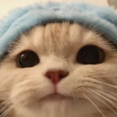 Profile image of 선생님