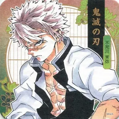 Profile image of Sanemi Shinazugawa