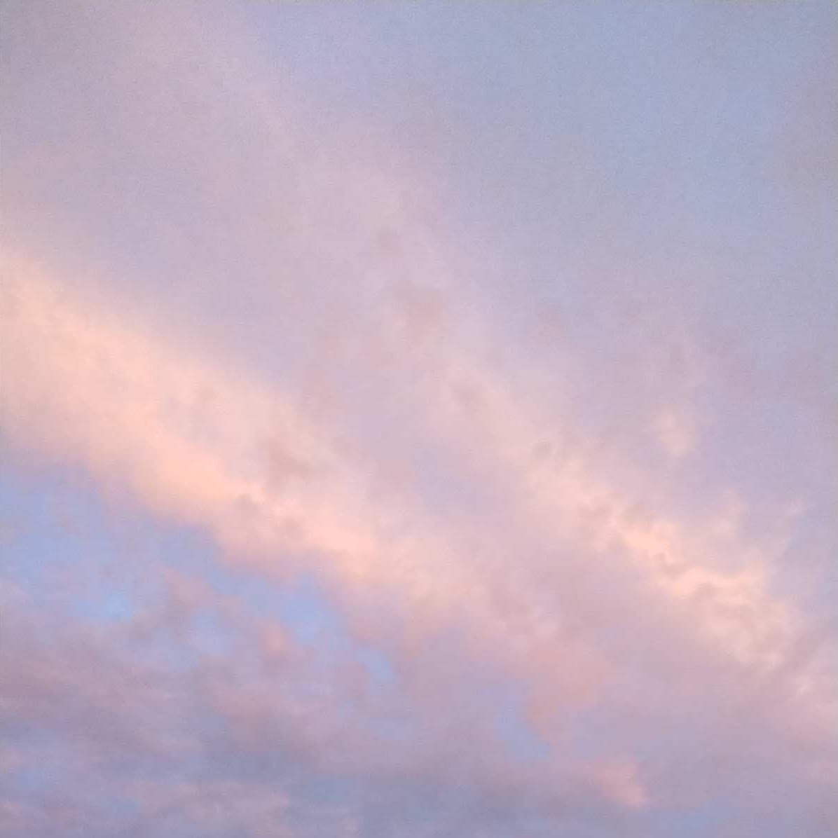 남녀무리(여우) 대표 이미지