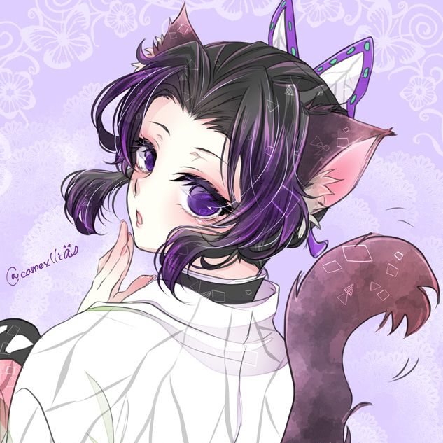 고양이 수인이 된 시노부쨩 대표 이미지