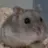 똥스터