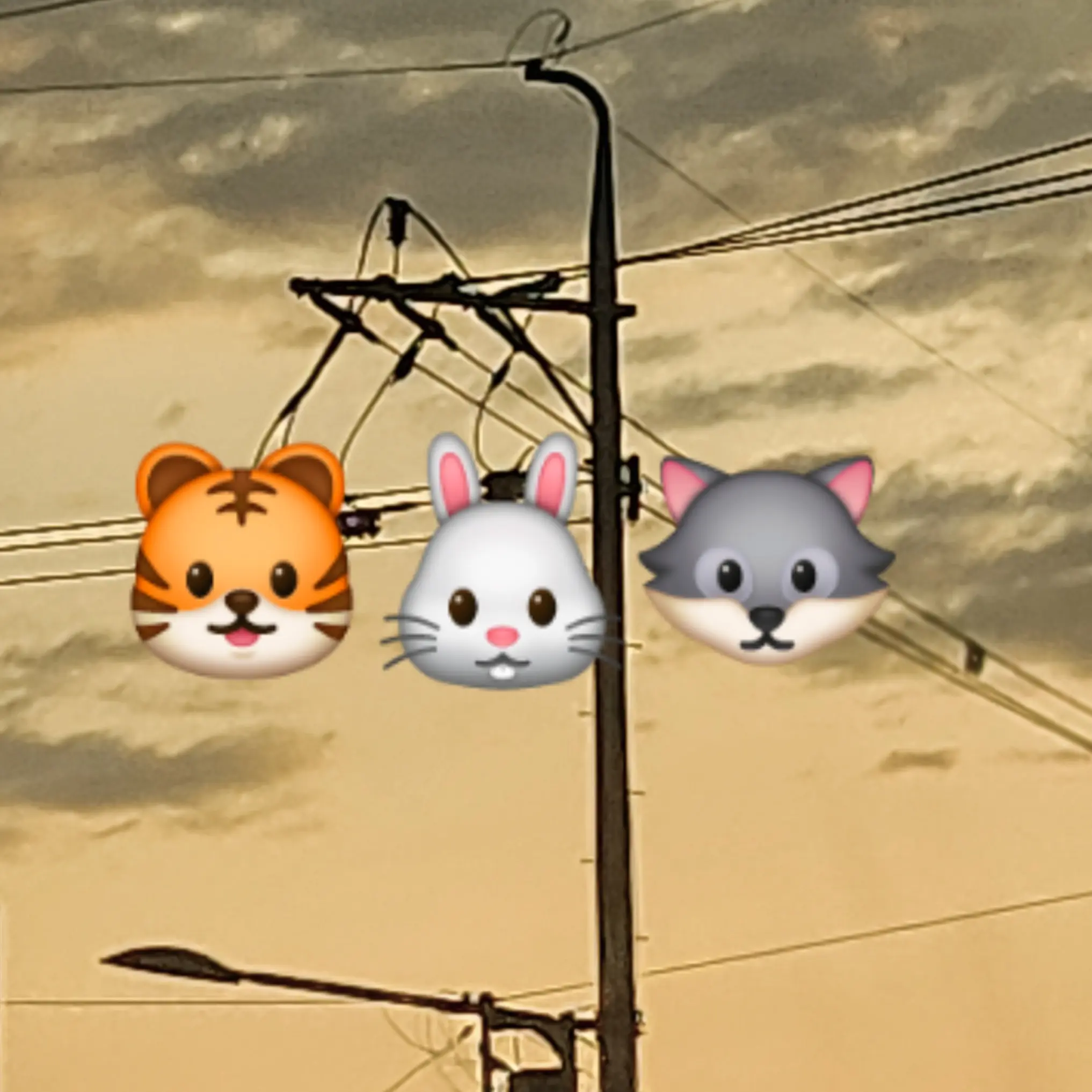 FieryRoad6216의 최동욱
