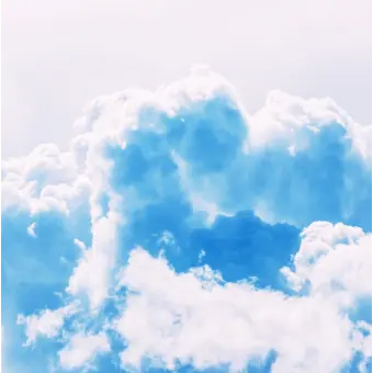 Profile image of 강태풍